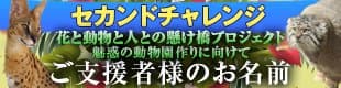 top banner