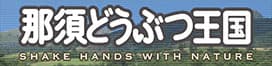 top banner