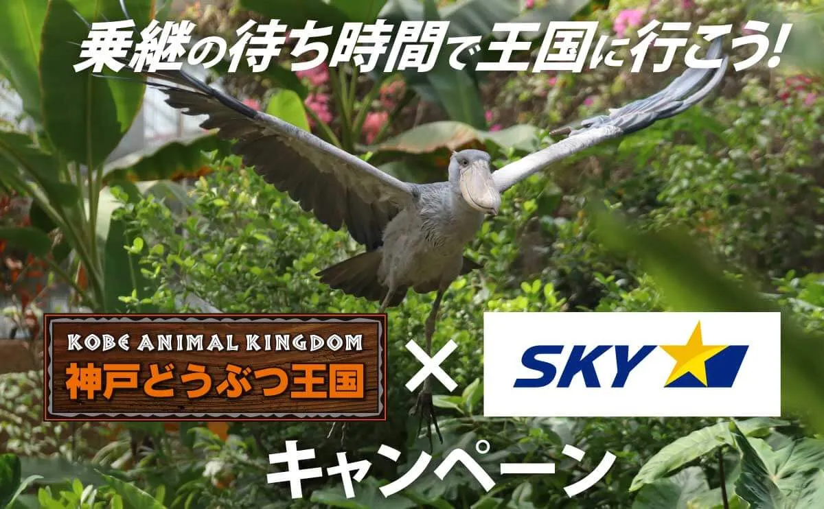 「神戸どうぶつ王国×スカイマーク・キャンペーン」2026年度冬ダイヤ期間(2026年10月25日~2027年3月27日)も継続!
