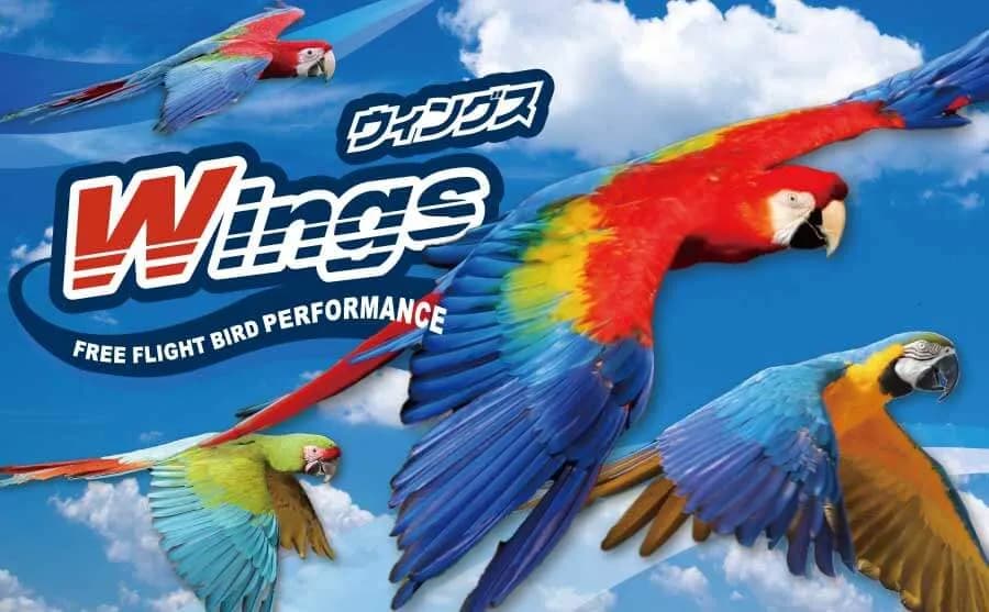 王国イチオシ‼〝Wings~フリーフライトバードパフォーマンス~〟